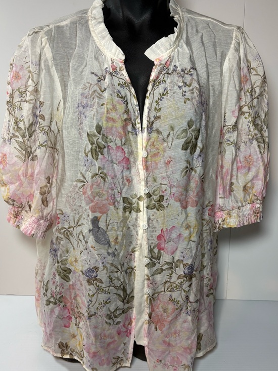 cupcakes & cashmere Tops - cupcakes & cashmere Sheer Floral Button-Front Blouse in White, Pink and Green
